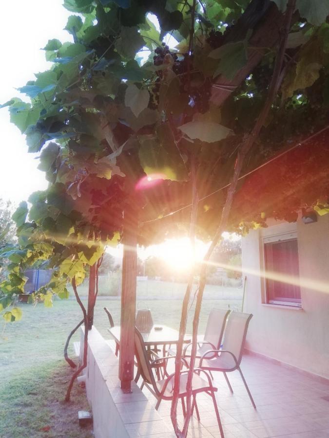 Mirini • Ancient Stagira Apts • Chalkidiki 奥林匹亚达 外观 照片