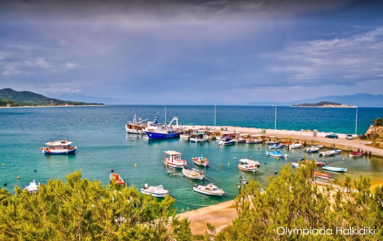 Mirini • Ancient Stagira Apts • Chalkidiki 奥林匹亚达 外观 照片