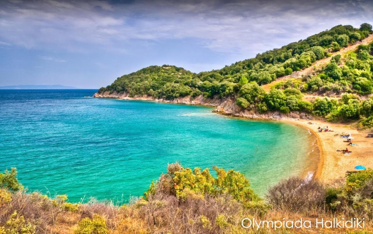 Mirini • Ancient Stagira Apts • Chalkidiki 奥林匹亚达 外观 照片