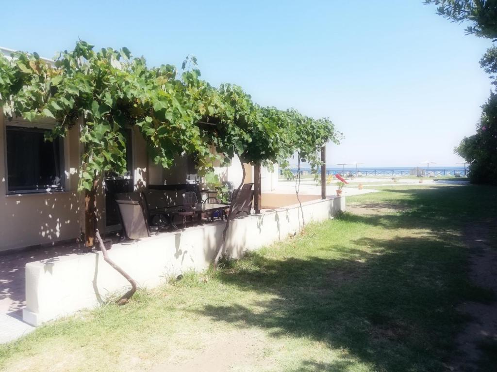 Mirini • Ancient Stagira Apts • Chalkidiki 奥林匹亚达 外观 照片